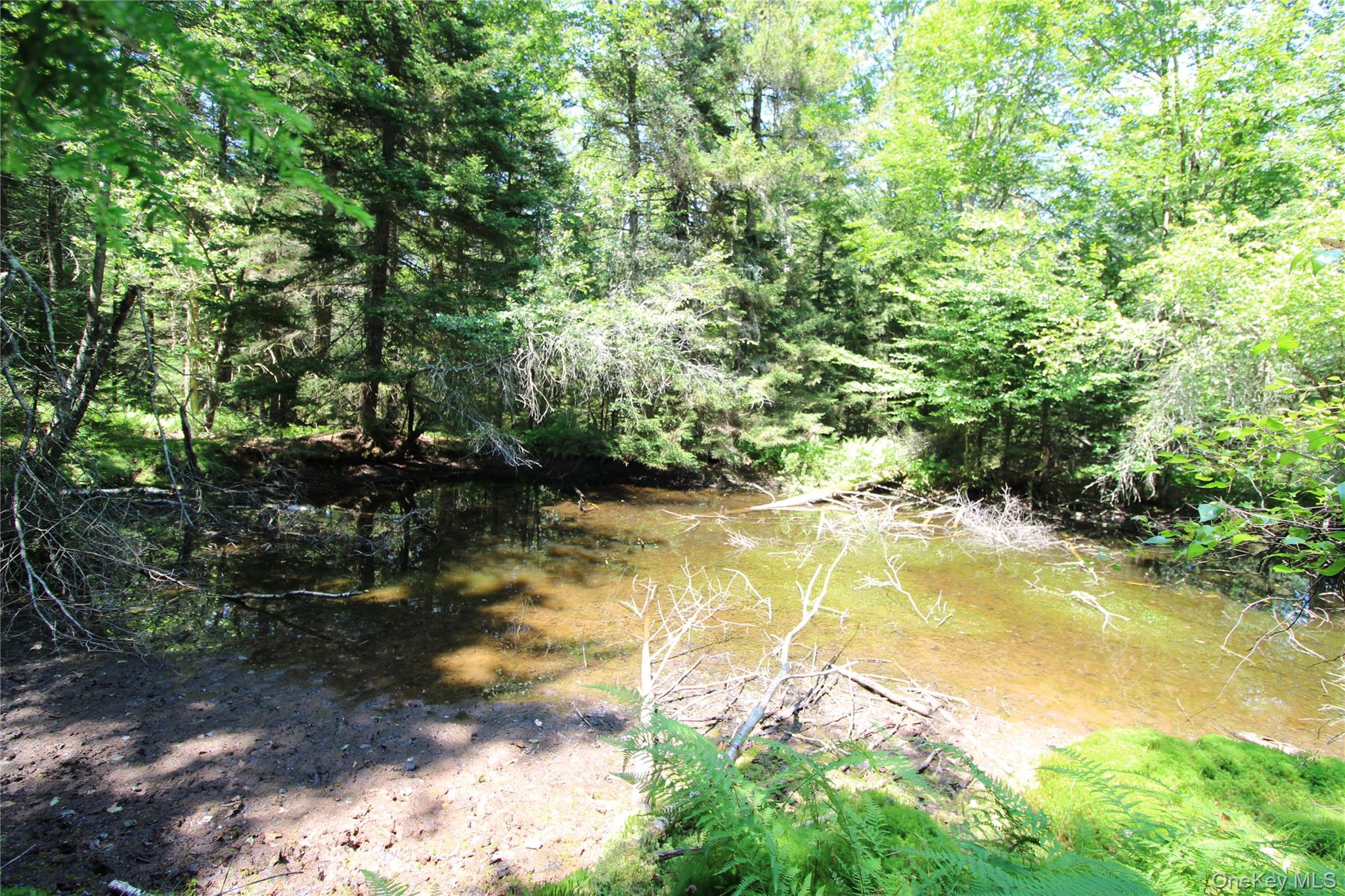 #19 photo, 834 Cooley Road, Parksville , NY 12768