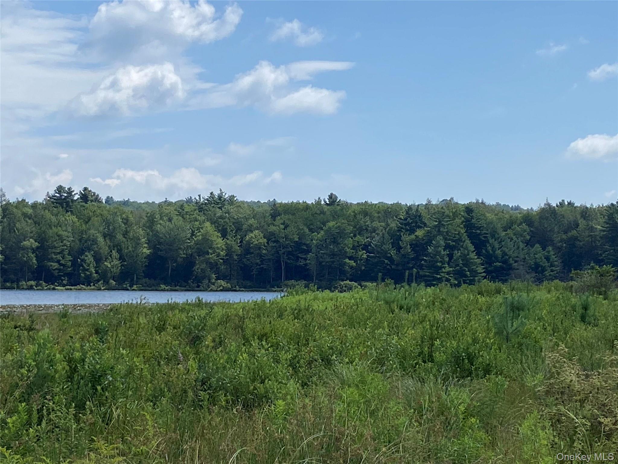 #11 photo, 15 Bailey Lake Road, Kiamesha Lake , NY 12751