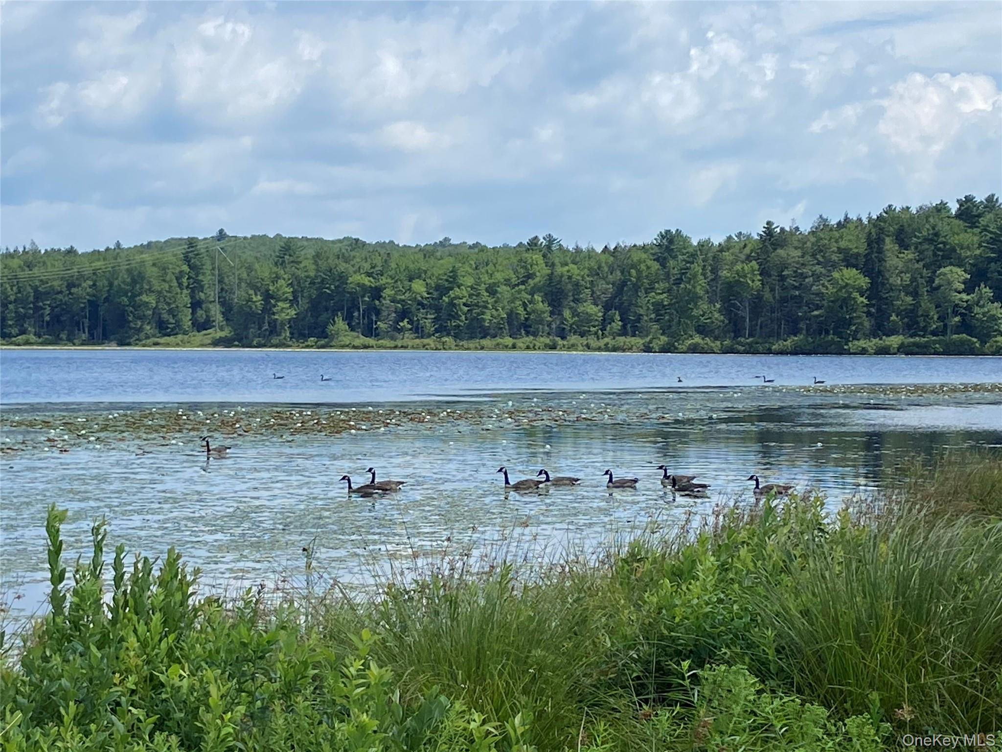 #3 photo, 15 Bailey Lake Road, Kiamesha Lake , NY 12751