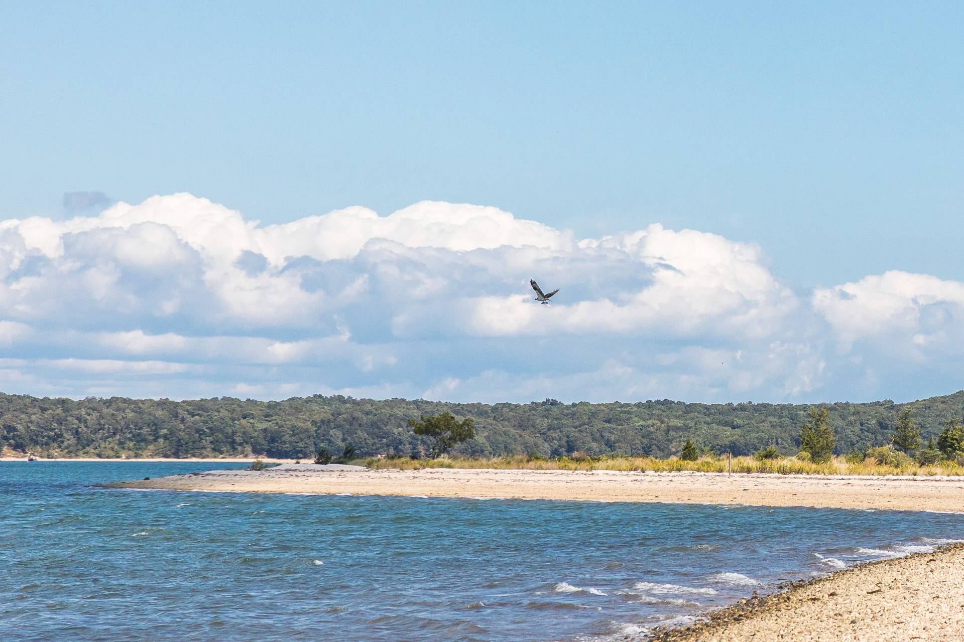 #28 photo, 8 Widow Coopers Path, サフォーク郡 Sag Harbor , NY 11963