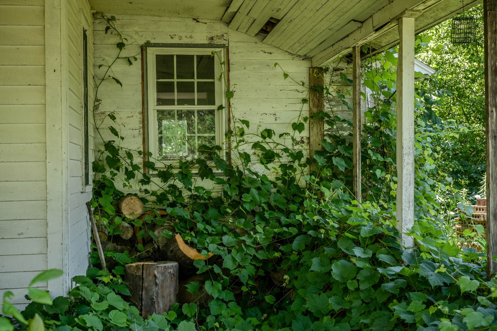 #35 photo, 616 Summit St, Prospect , NY 13435