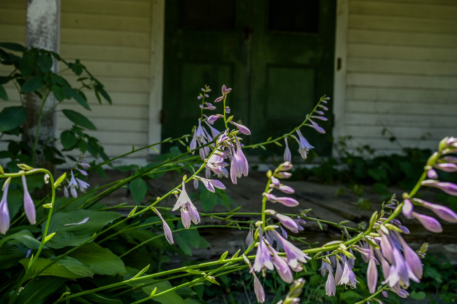 #36 photo, 616 Summit St, Prospect , NY 13435