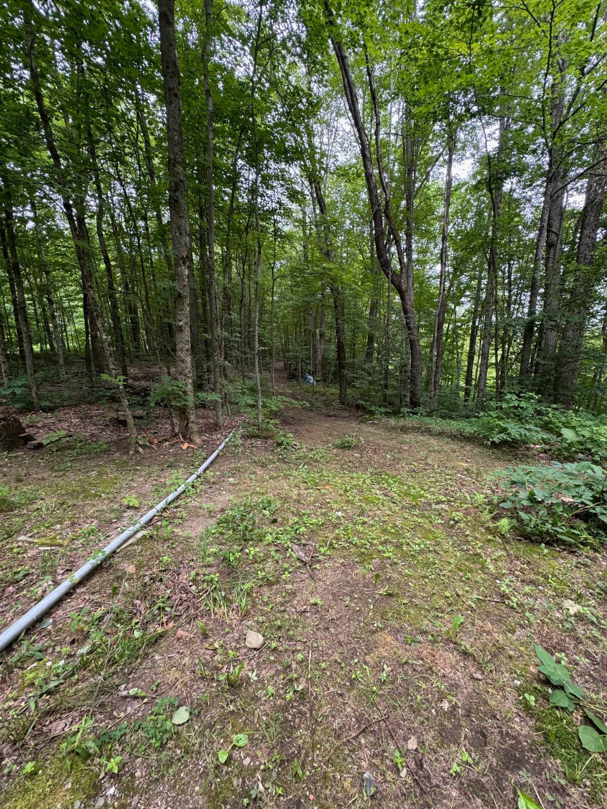 #12 photo, 243 Mill Road, Saint Johnsville , NY 13452