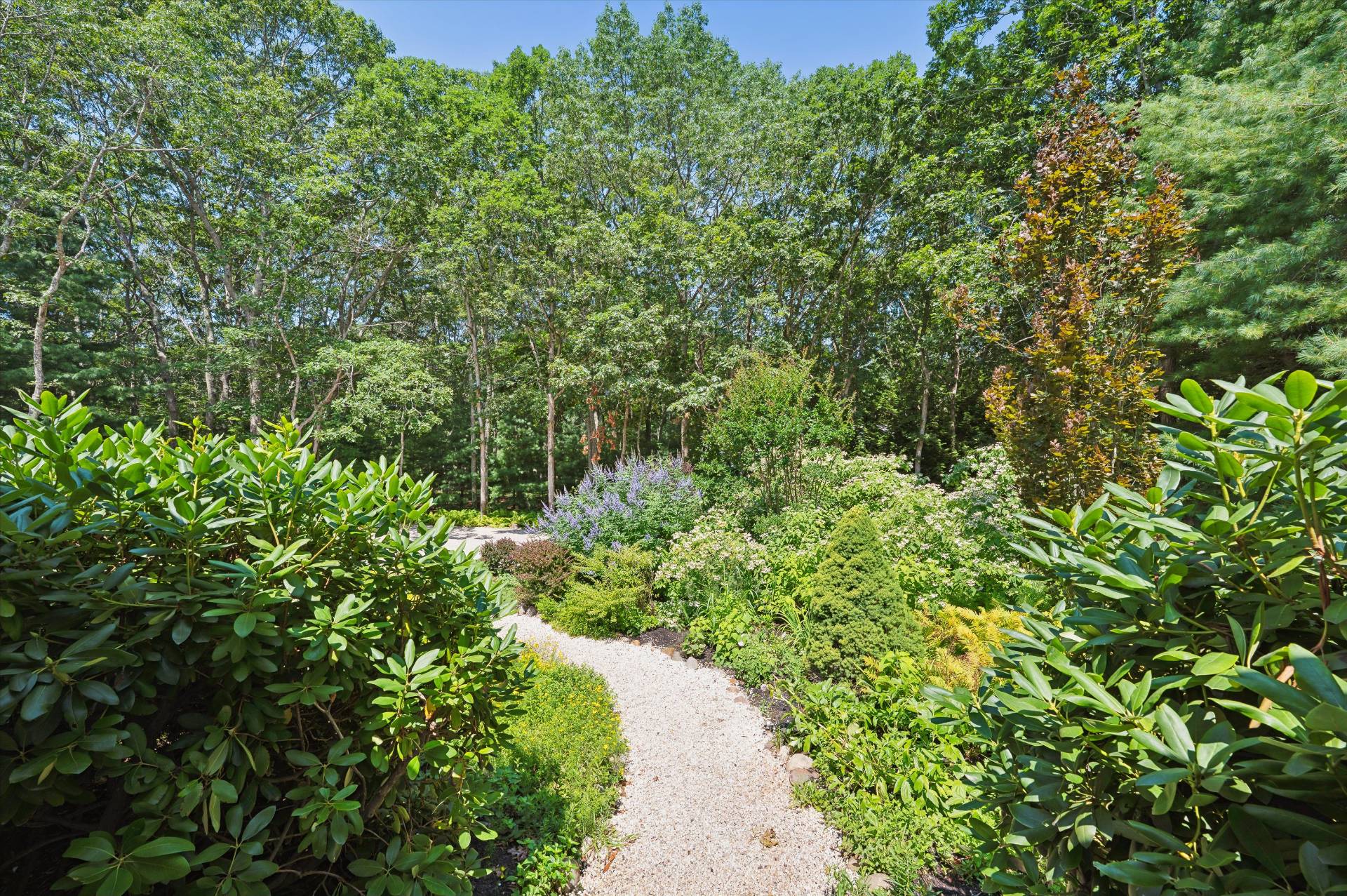 #31 photo, 14 Livery Lane, サフォーク郡 East Hampton , NY 11937