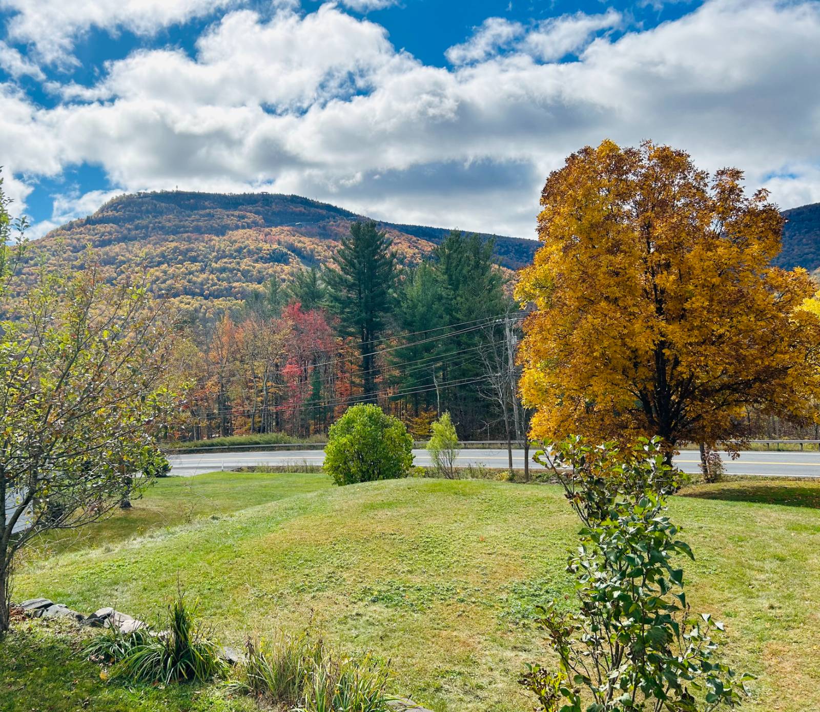 #7 photo, 2591 Route 296, Hunter , NY 12442