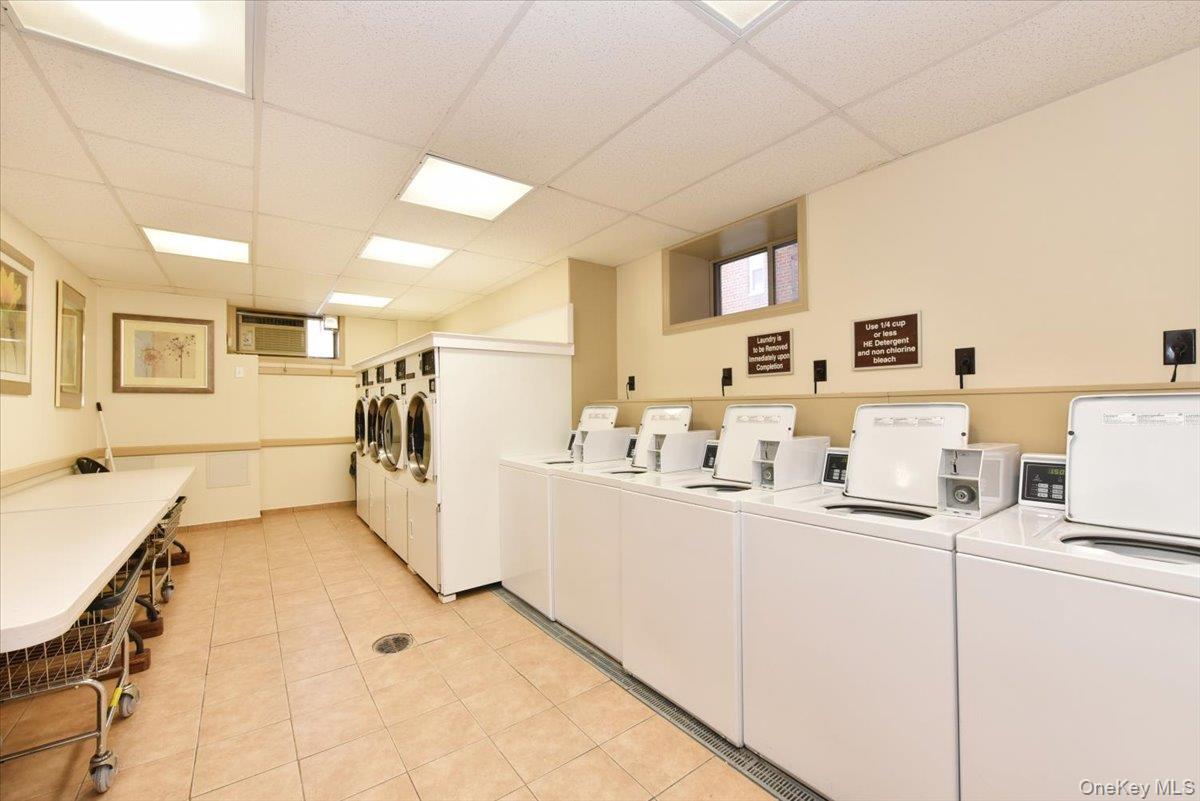 #13 photo, 75 S Middle Neck, Great Neck , NY 11021