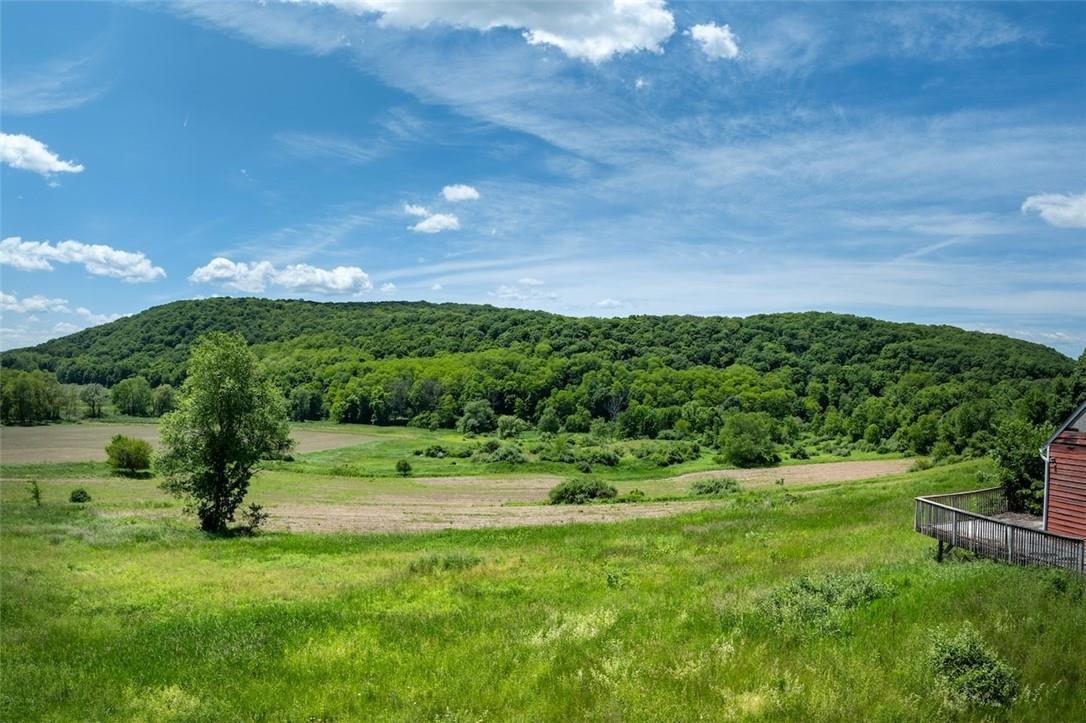 #14 photo, 1533-1539 Route 83, Millerton , NY 12567