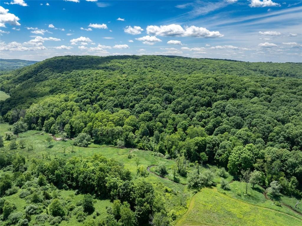 #6 photo, 1533-1539 Route 83, Millerton , NY 12567