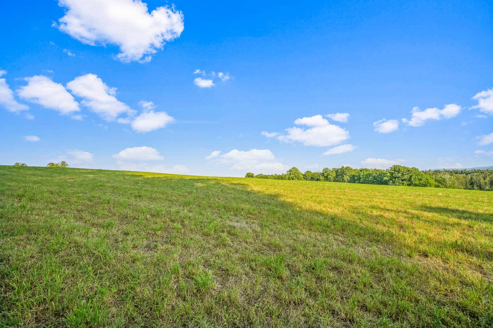 #10 photo, 137  Stone Ridge Dr, Charlotteville , NY 12093