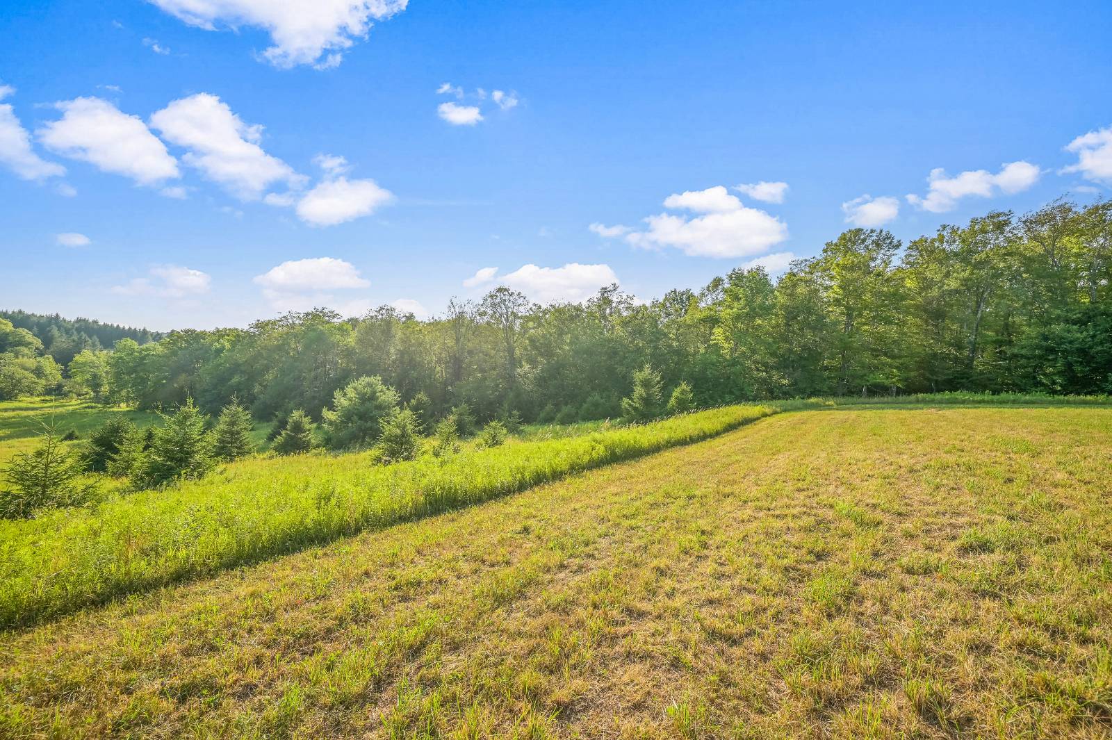 #11 photo, 137  Stone Ridge Dr, Charlotteville , NY 12093