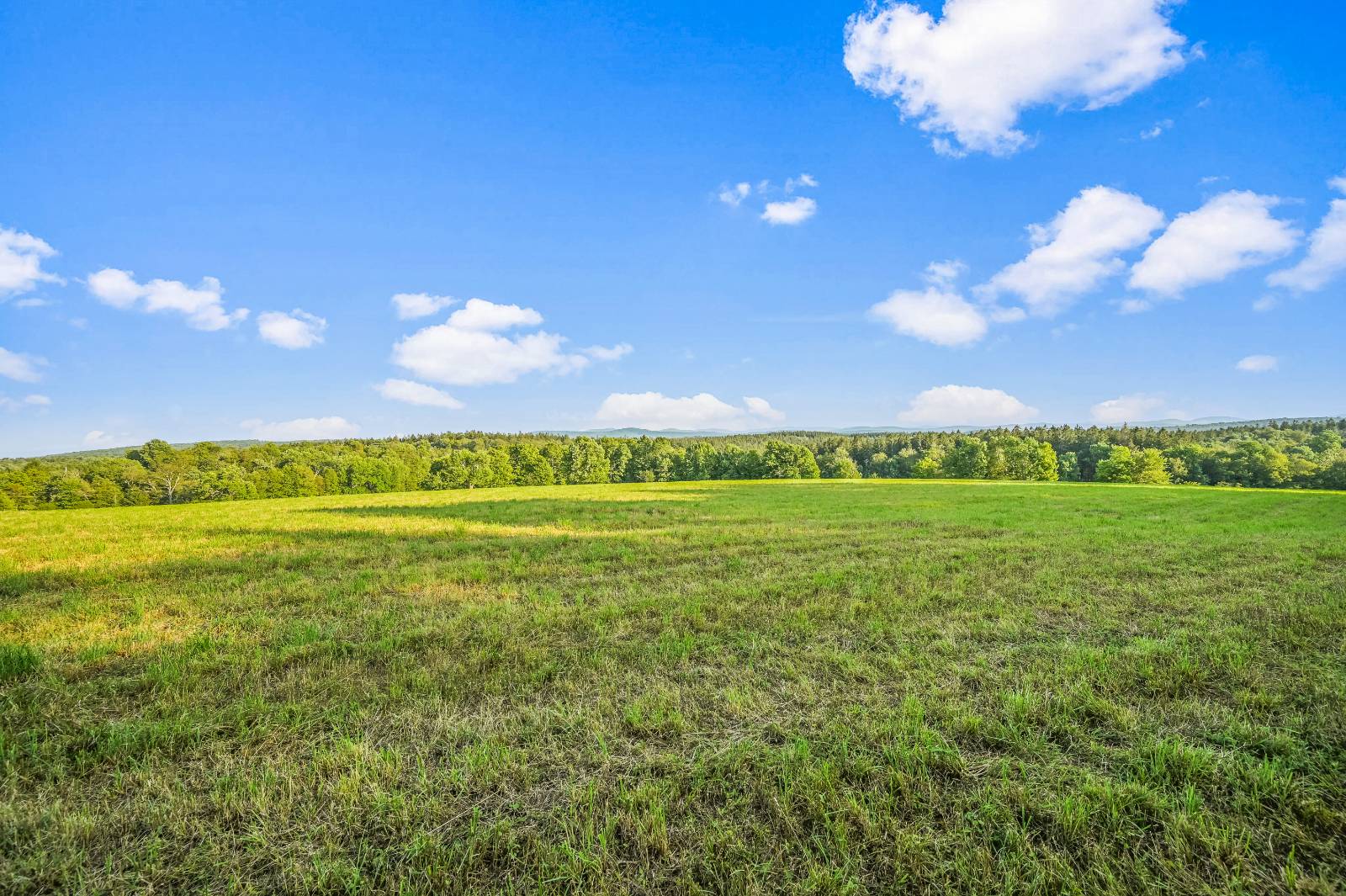 #12 photo, 137  Stone Ridge Dr, Charlotteville , NY 12093