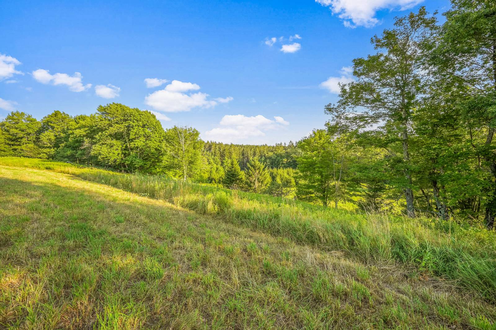 #13 photo, 137  Stone Ridge Dr, Charlotteville , NY 12093