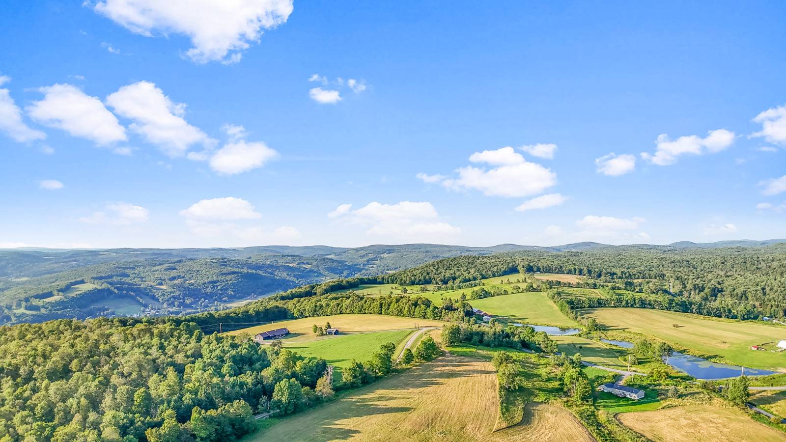 #14 photo, 137  Stone Ridge Dr, Charlotteville , NY 12093