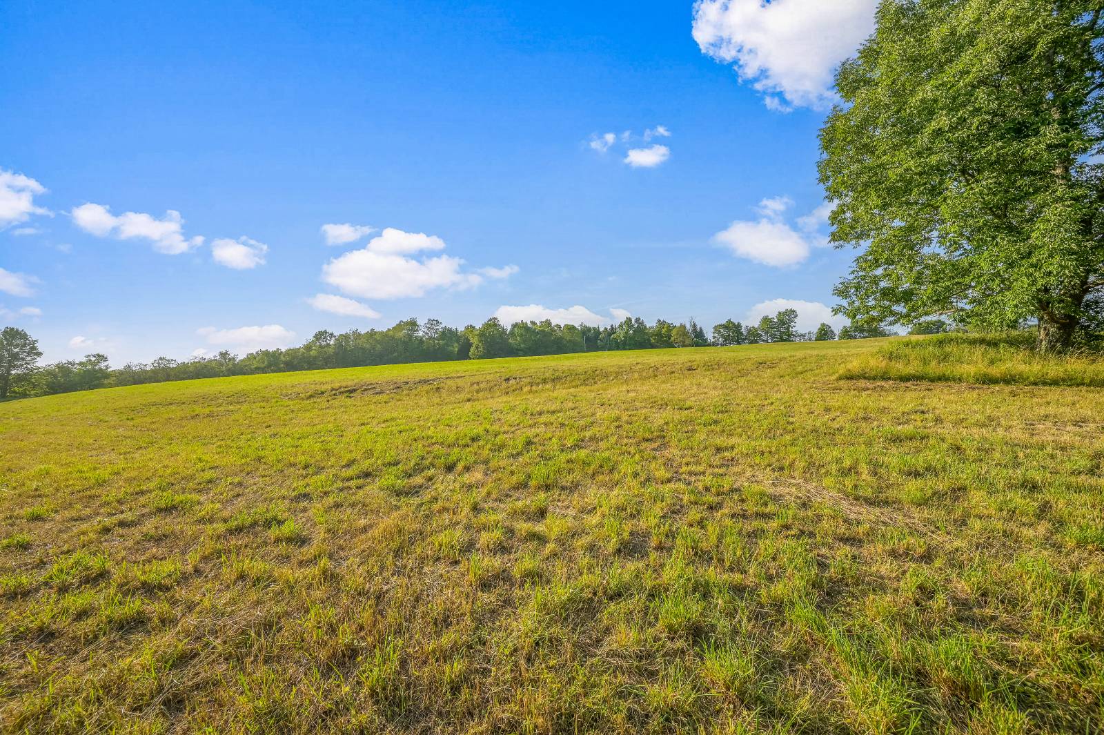 #16 photo, 137  Stone Ridge Dr, Charlotteville , NY 12093