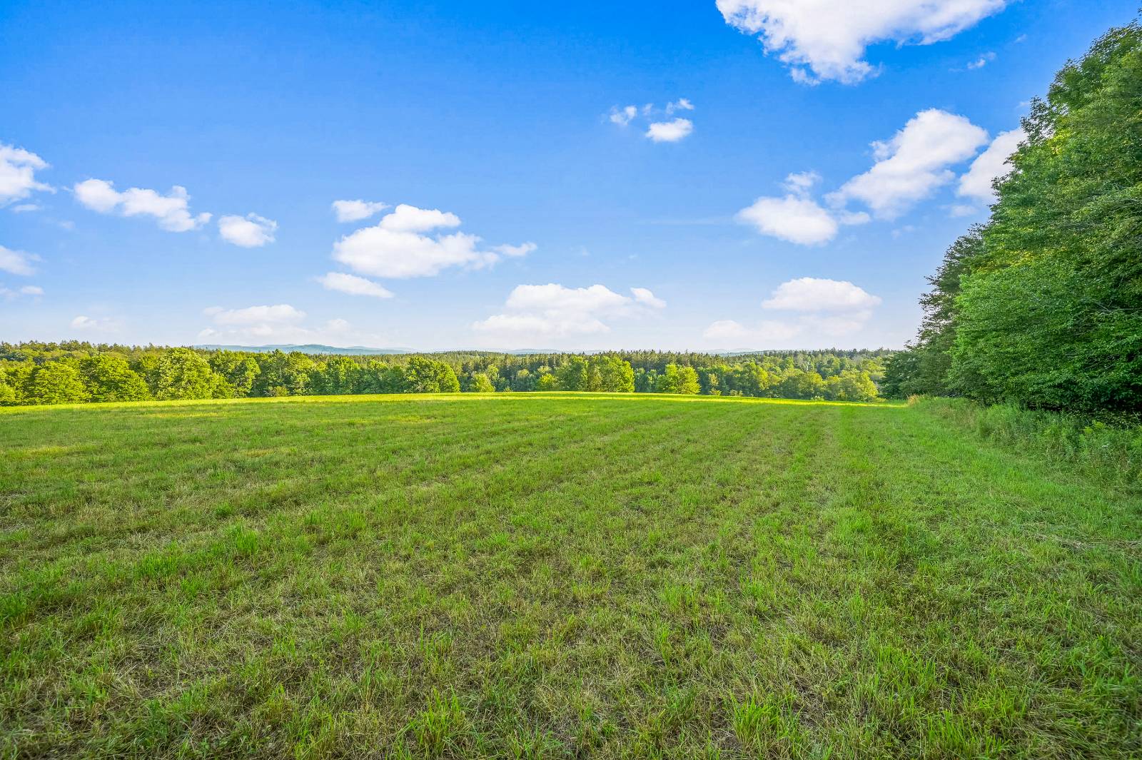 #17 photo, 137  Stone Ridge Dr, Charlotteville , NY 12093