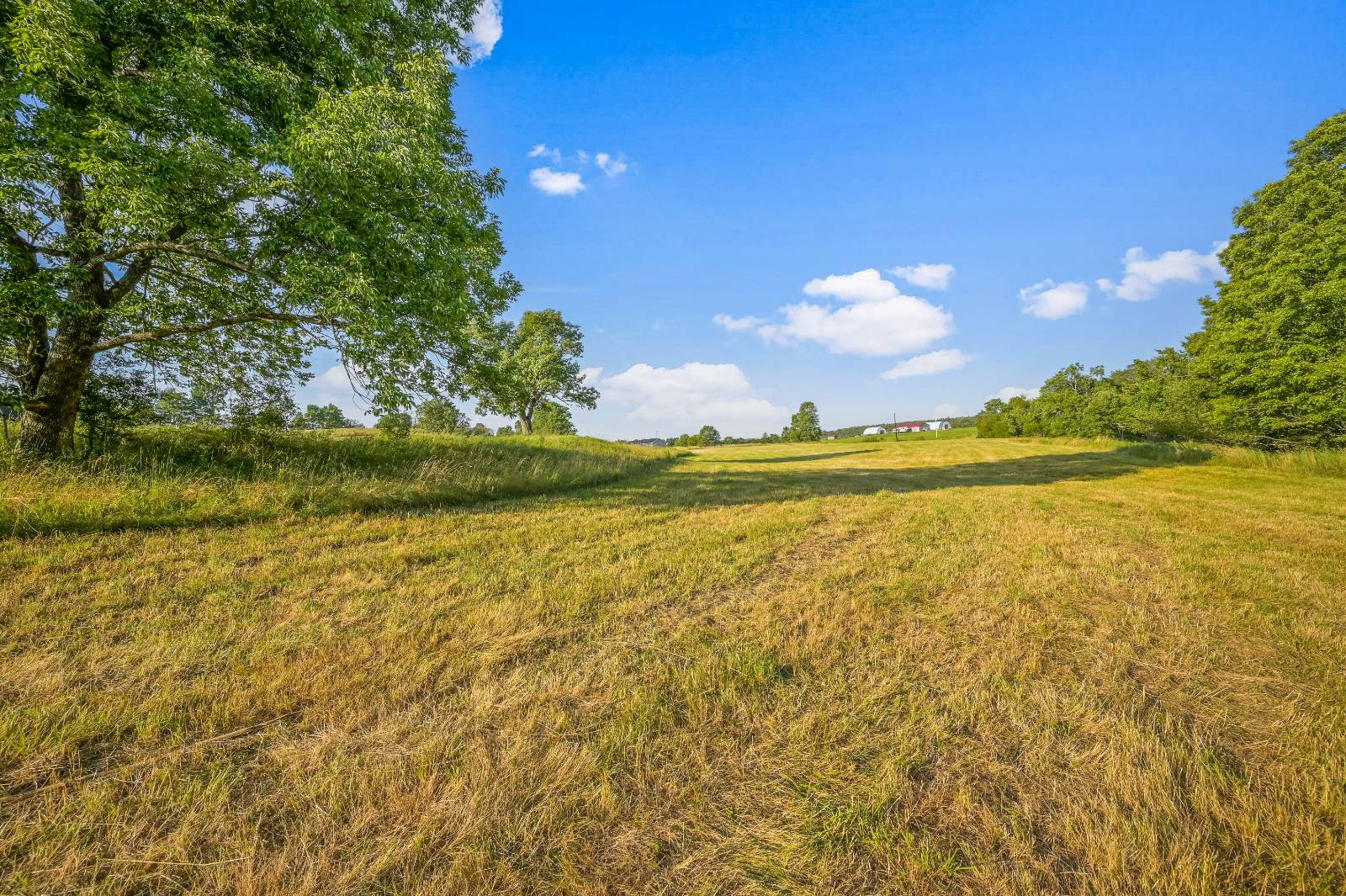 #18 photo, 137  Stone Ridge Dr, Charlotteville , NY 12093