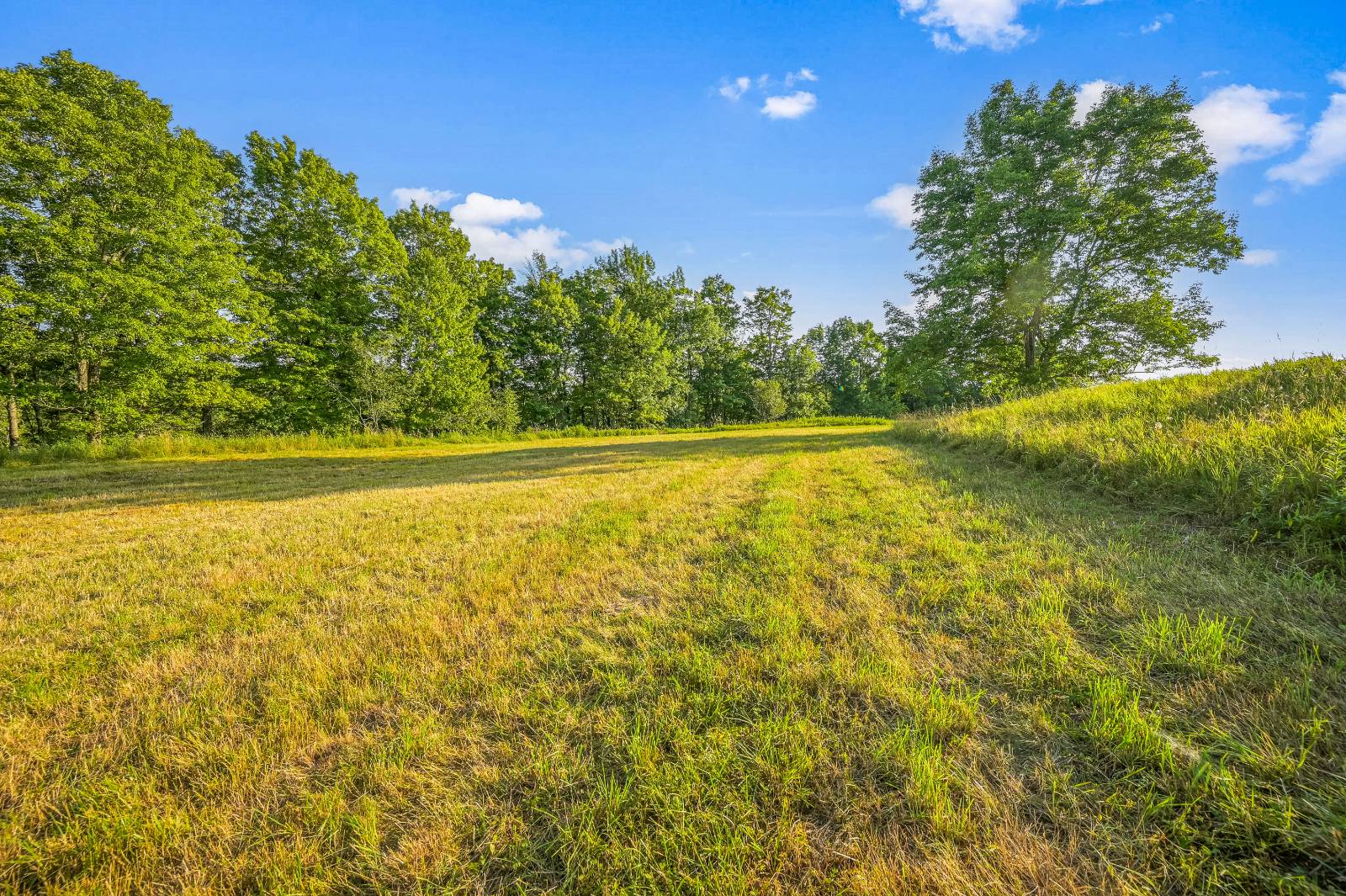 #19 photo, 137  Stone Ridge Dr, Charlotteville , NY 12093