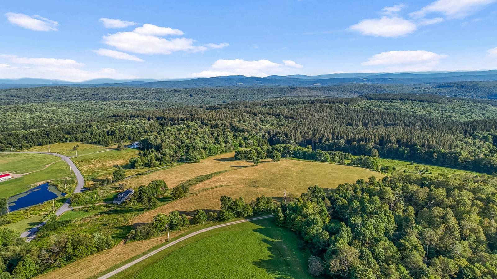 #2 photo, 137  Stone Ridge Dr, Charlotteville , NY 12093