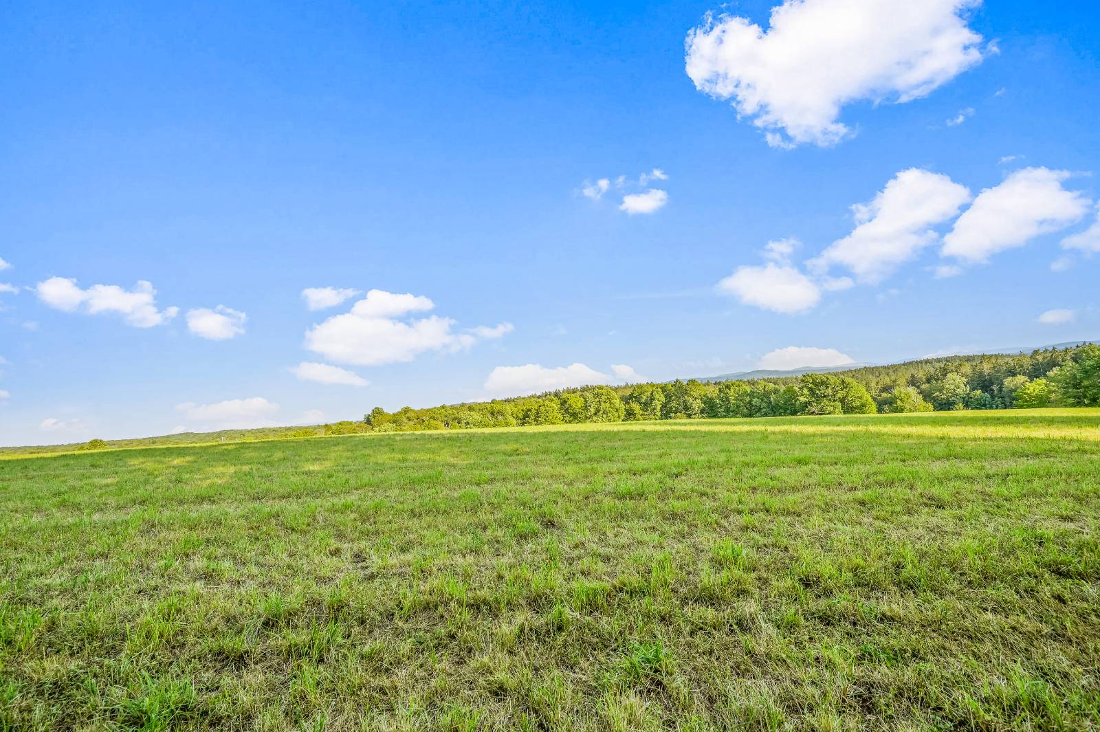 #20 photo, 137  Stone Ridge Dr, Charlotteville , NY 12093