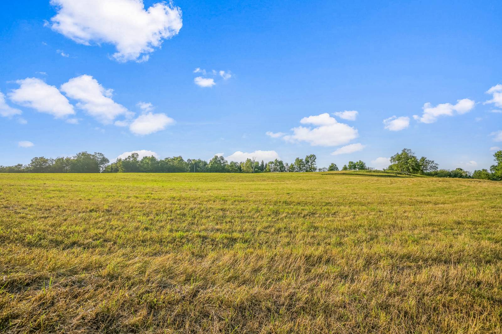 #22 photo, 137  Stone Ridge Dr, Charlotteville , NY 12093