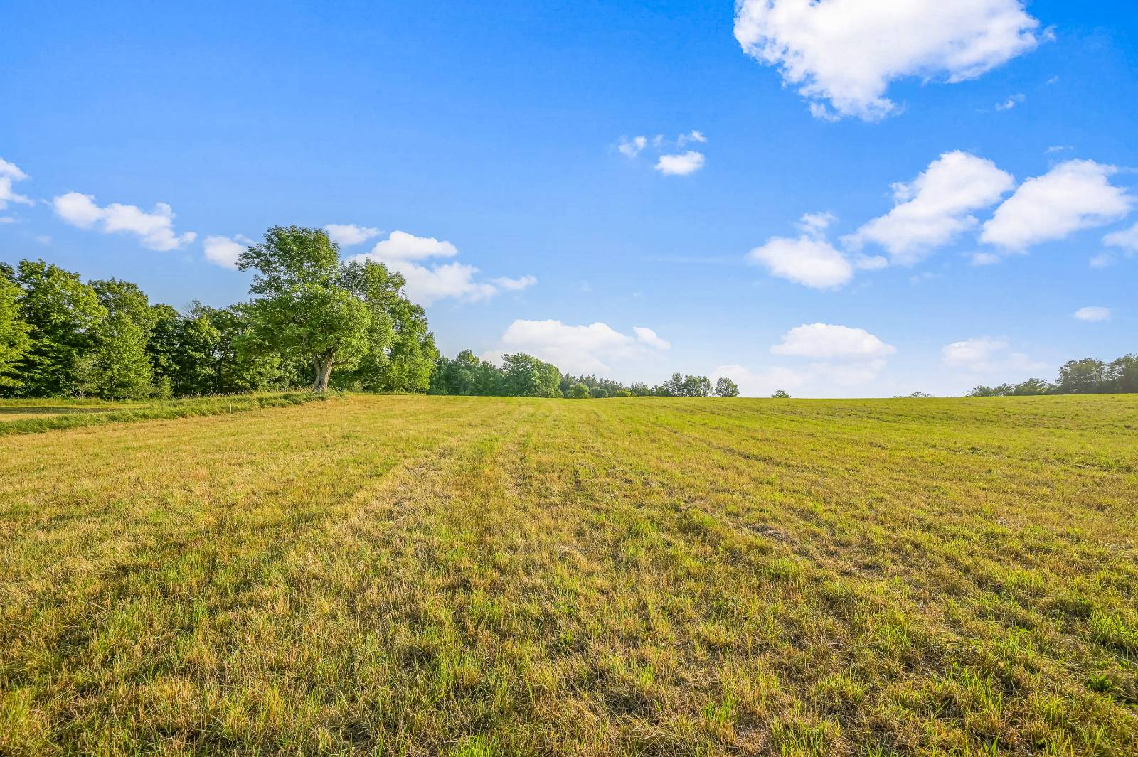 #23 photo, 137  Stone Ridge Dr, Charlotteville , NY 12093