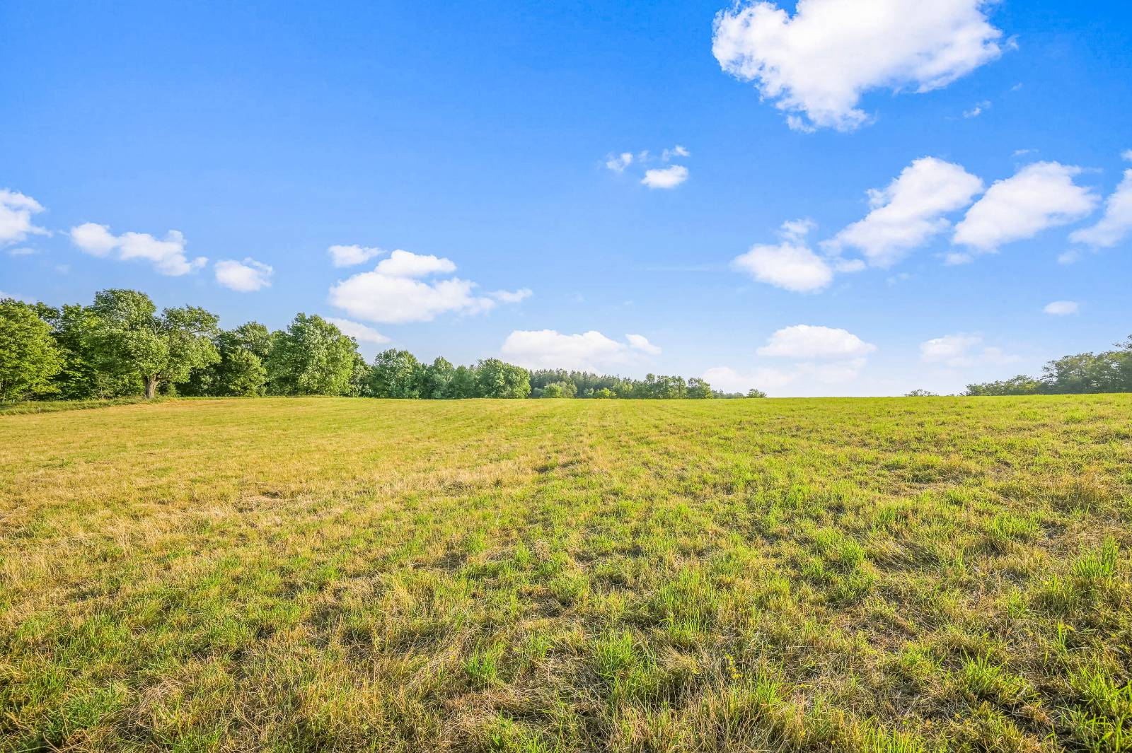 #24 photo, 137  Stone Ridge Dr, Charlotteville , NY 12093