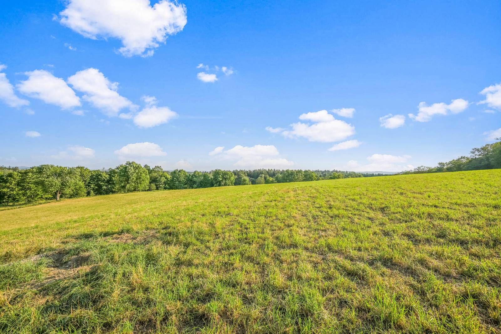 #25 photo, 137  Stone Ridge Dr, Charlotteville , NY 12093