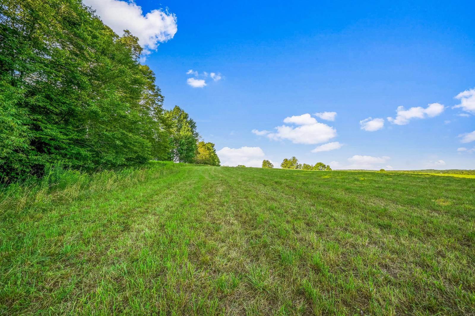 #29 photo, 137  Stone Ridge Dr, Charlotteville , NY 12093