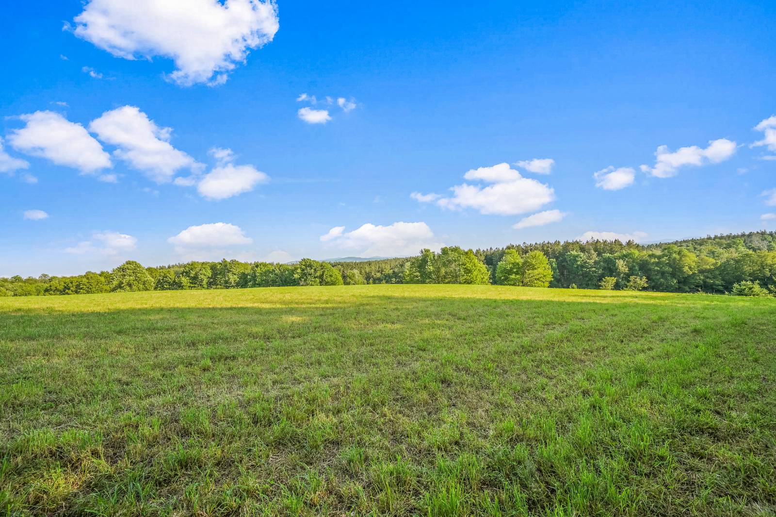 #3 photo, 137  Stone Ridge Dr, Charlotteville , NY 12093