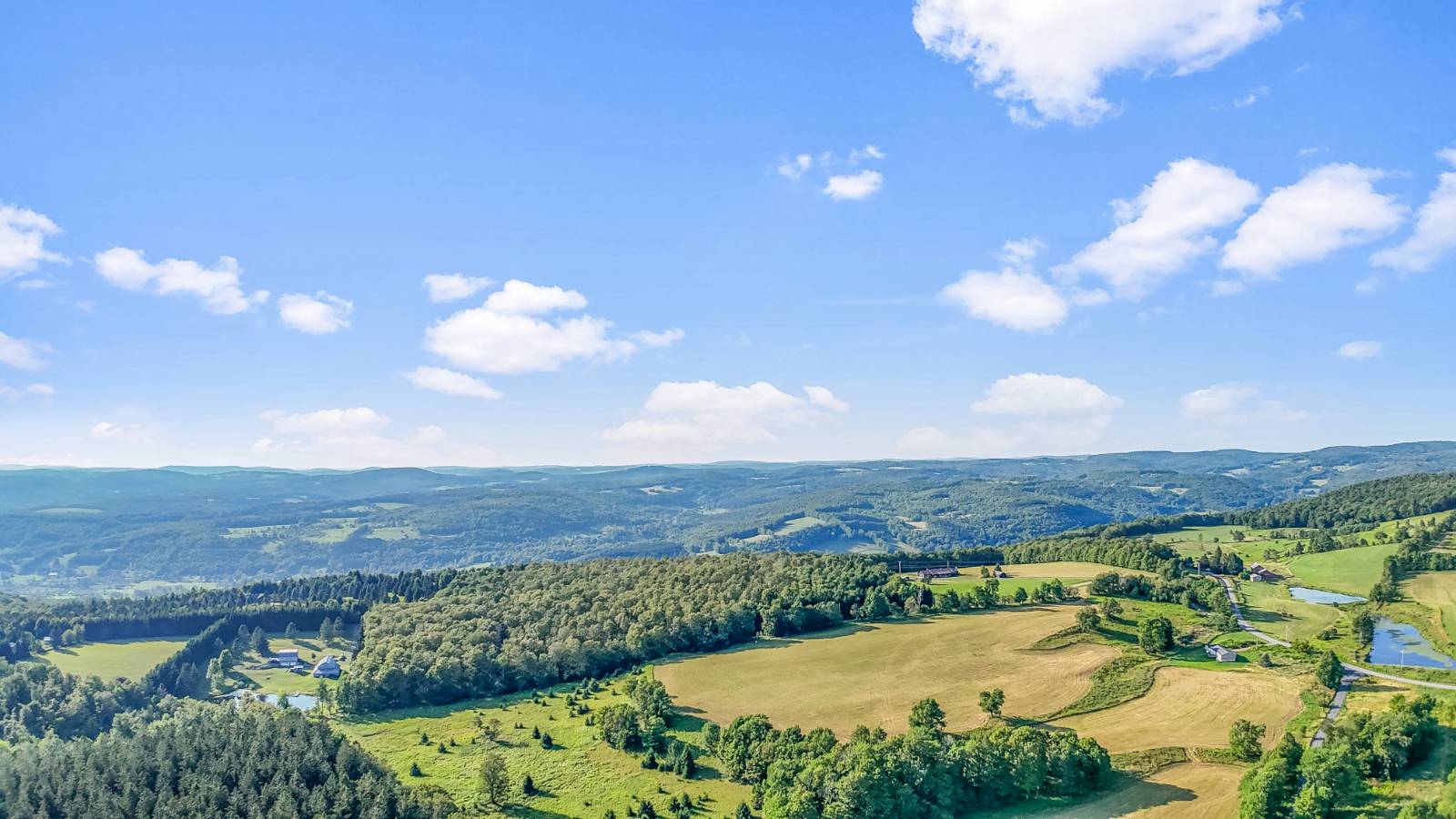 #30 photo, 137  Stone Ridge Dr, Charlotteville , NY 12093