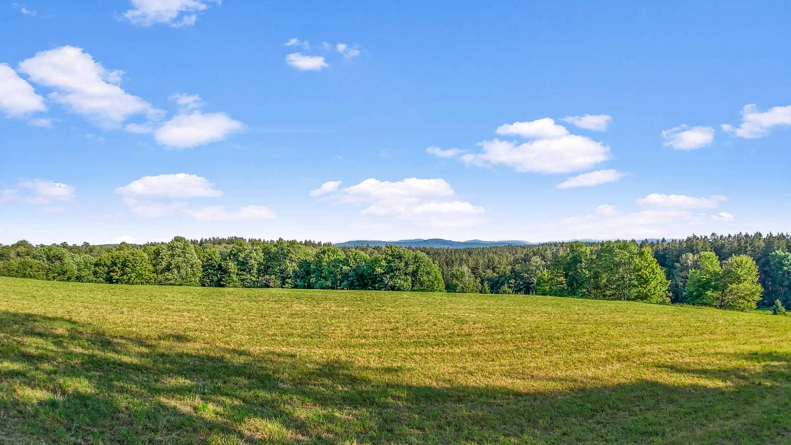 #32 photo, 137  Stone Ridge Dr, Charlotteville , NY 12093