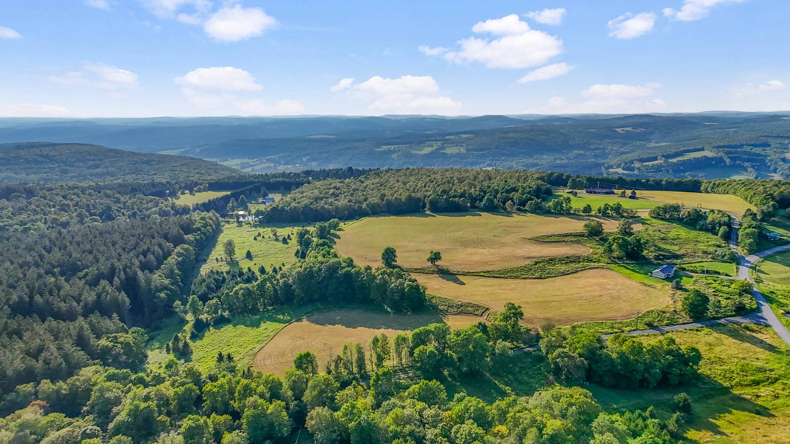 #35 photo, 137  Stone Ridge Dr, Charlotteville , NY 12093