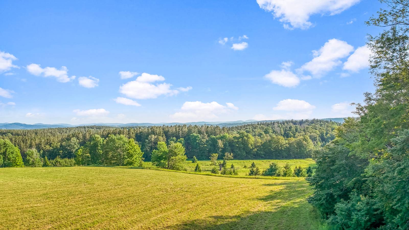 #36 photo, 137  Stone Ridge Dr, Charlotteville , NY 12093