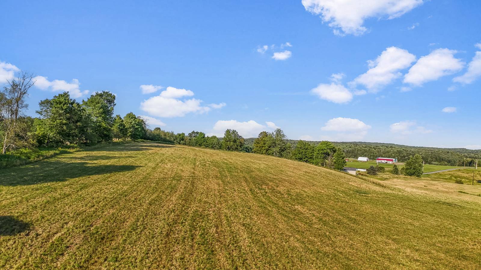 #38 photo, 137  Stone Ridge Dr, Charlotteville , NY 12093