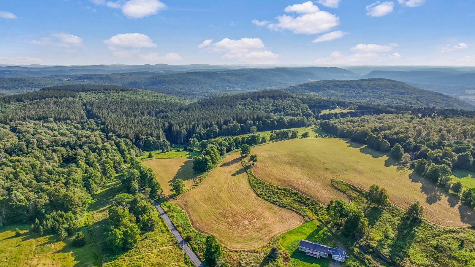 #40 photo, 137  Stone Ridge Dr, Charlotteville , NY 12093