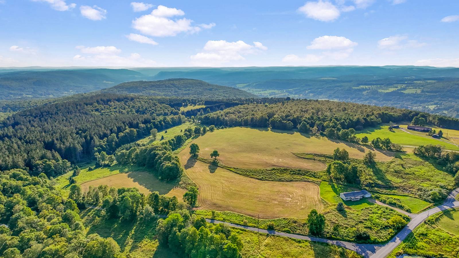 #41 photo, 137  Stone Ridge Dr, Charlotteville , NY 12093