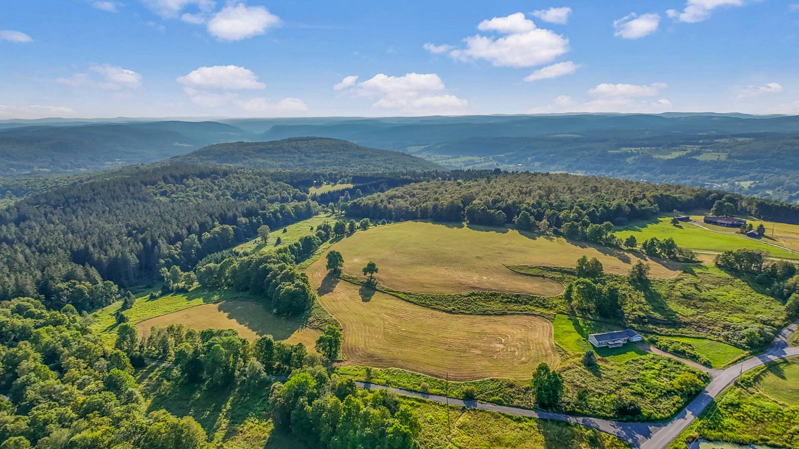 #42 photo, 137  Stone Ridge Dr, Charlotteville , NY 12093