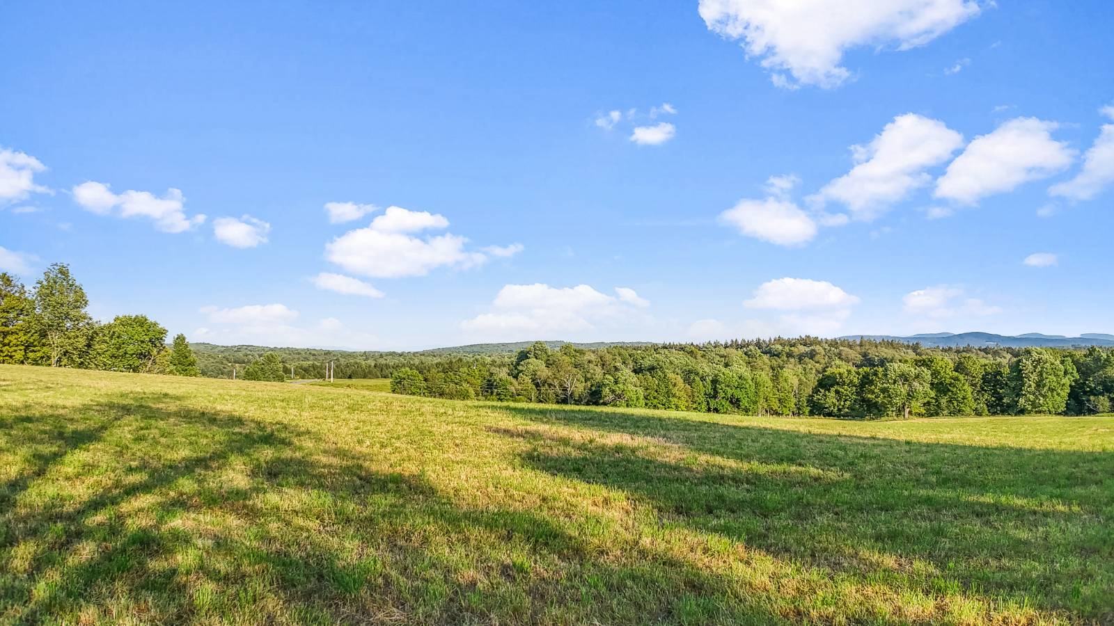 #44 photo, 137  Stone Ridge Dr, Charlotteville , NY 12093