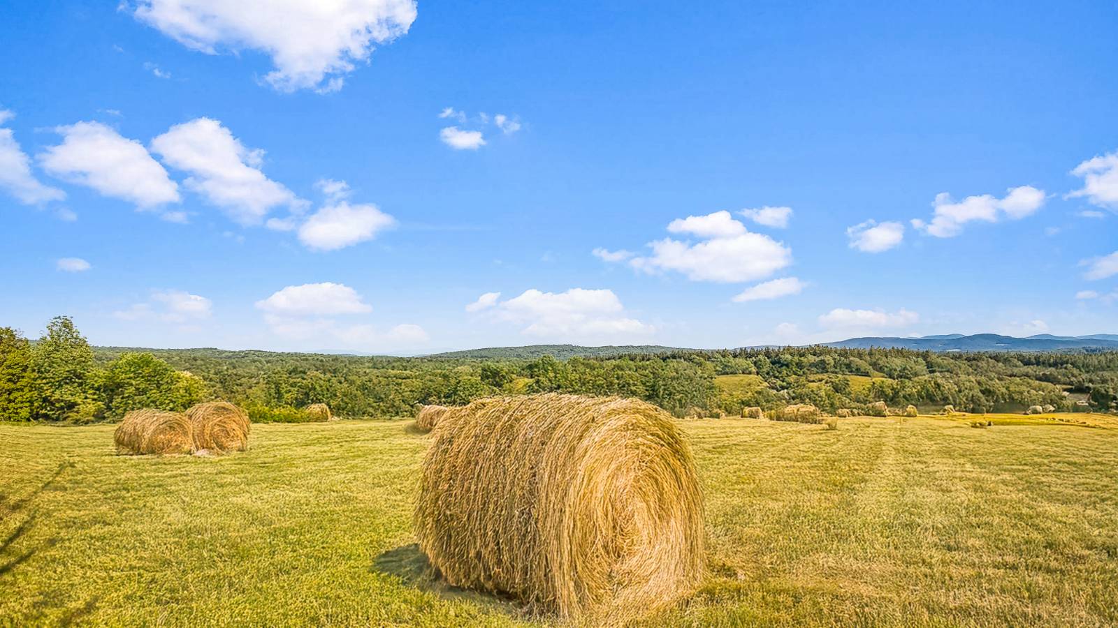 #45 photo, 137  Stone Ridge Dr, Charlotteville , NY 12093