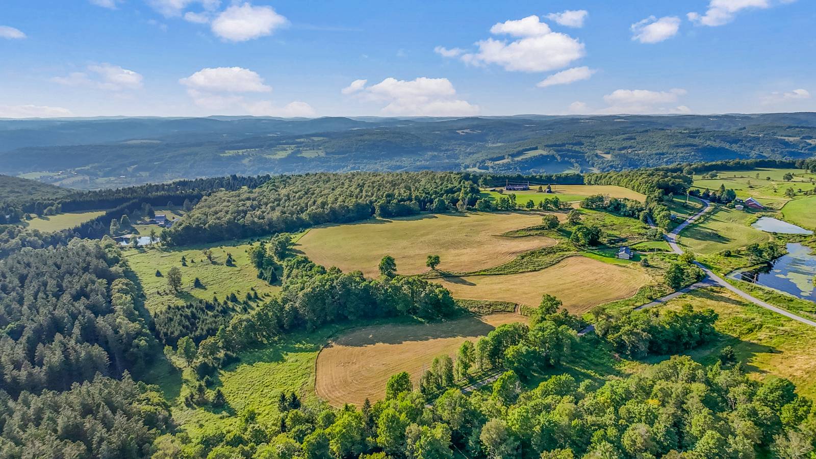 #47 photo, 137  Stone Ridge Dr, Charlotteville , NY 12093