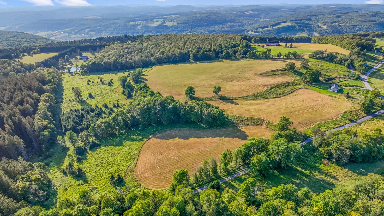 #5 photo, 137  Stone Ridge Dr, Charlotteville , NY 12093