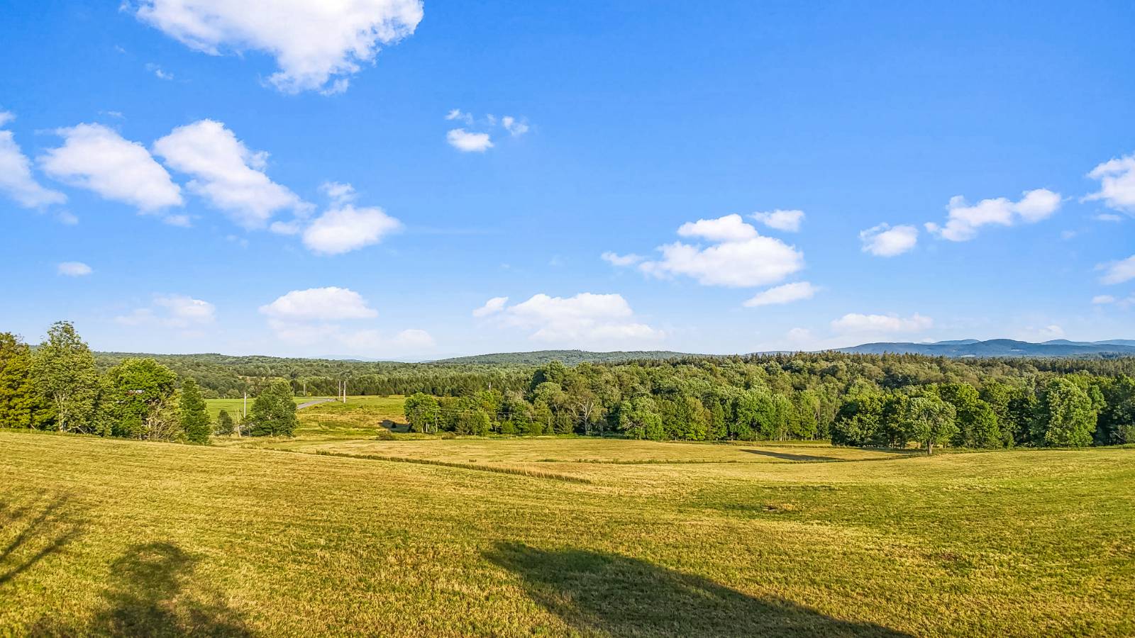 #6 photo, 137  Stone Ridge Dr, Charlotteville , NY 12093