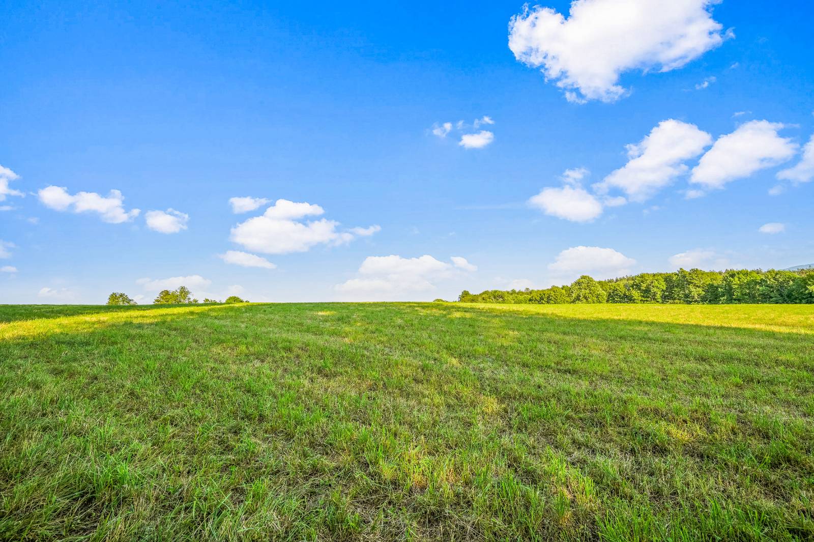 #7 photo, 137  Stone Ridge Dr, Charlotteville , NY 12093