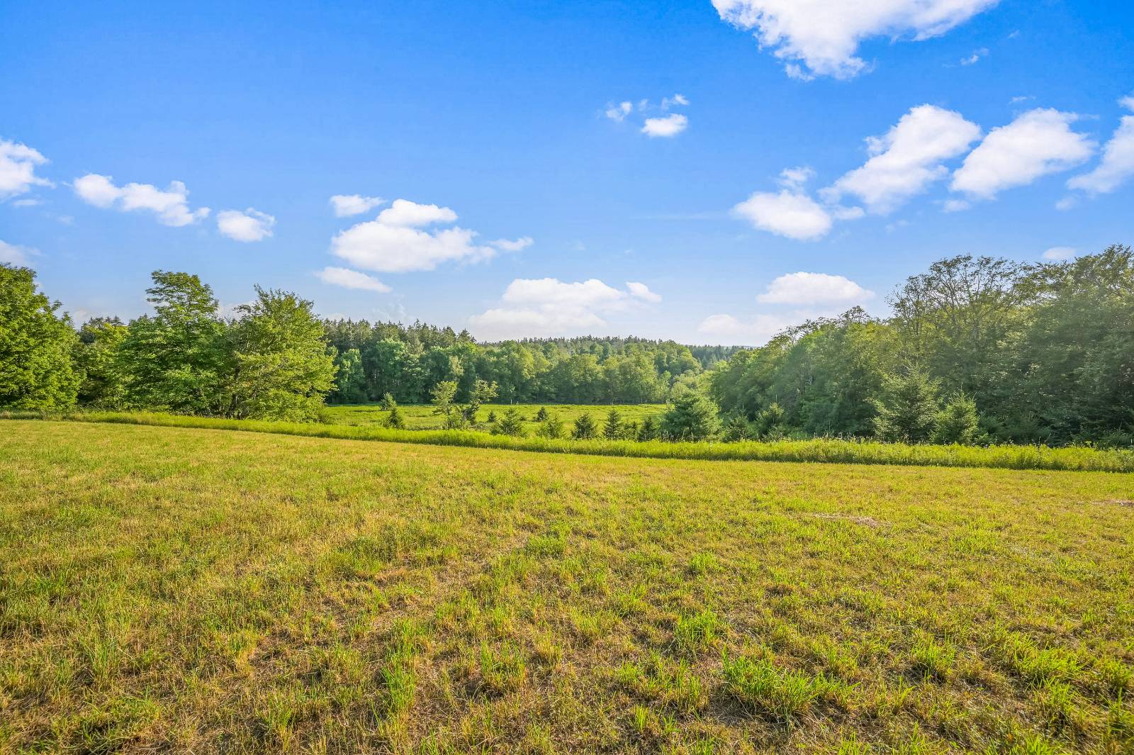 #8 photo, 137  Stone Ridge Dr, Charlotteville , NY 12093