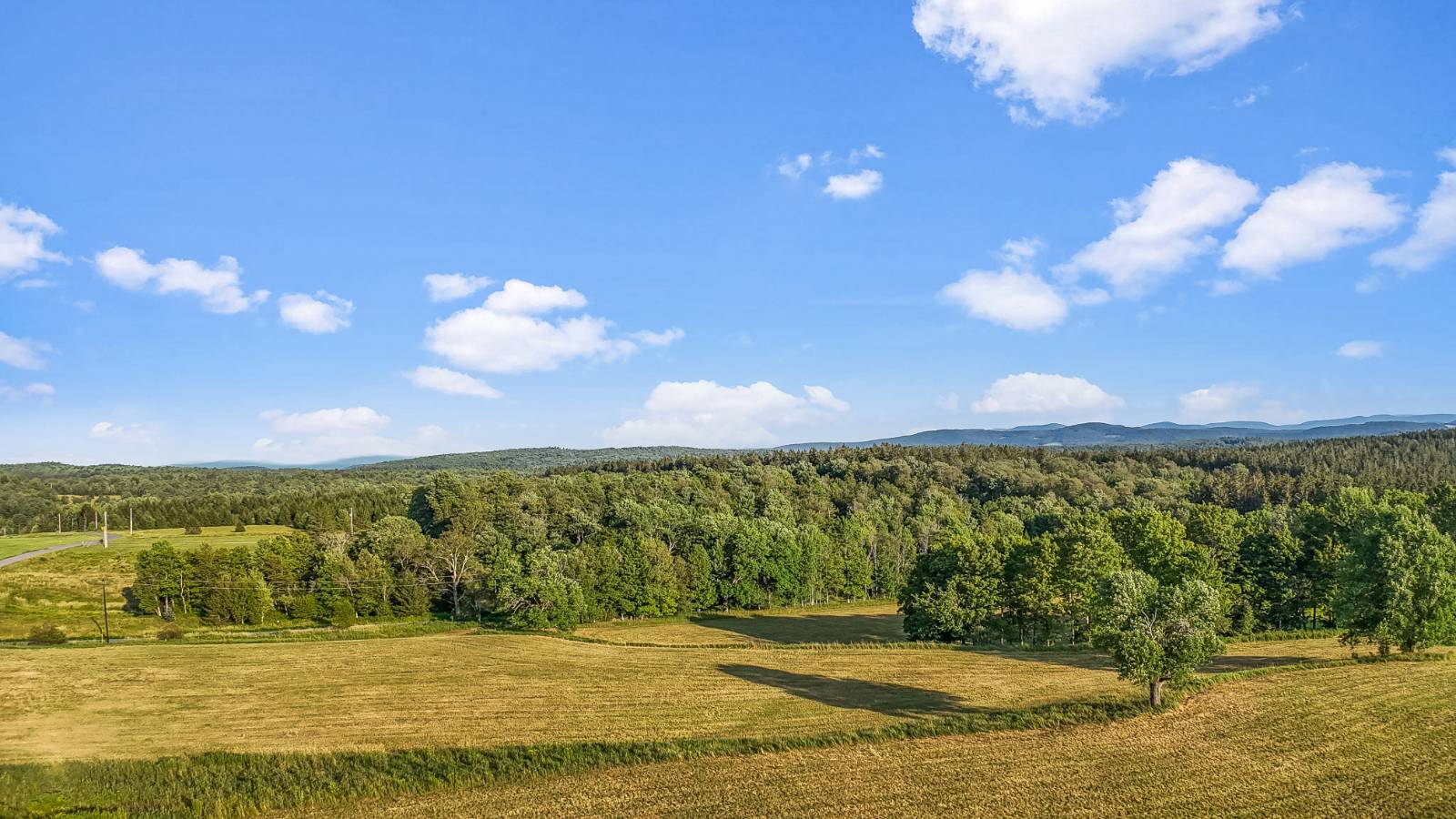 #9 photo, 137  Stone Ridge Dr, Charlotteville , NY 12093