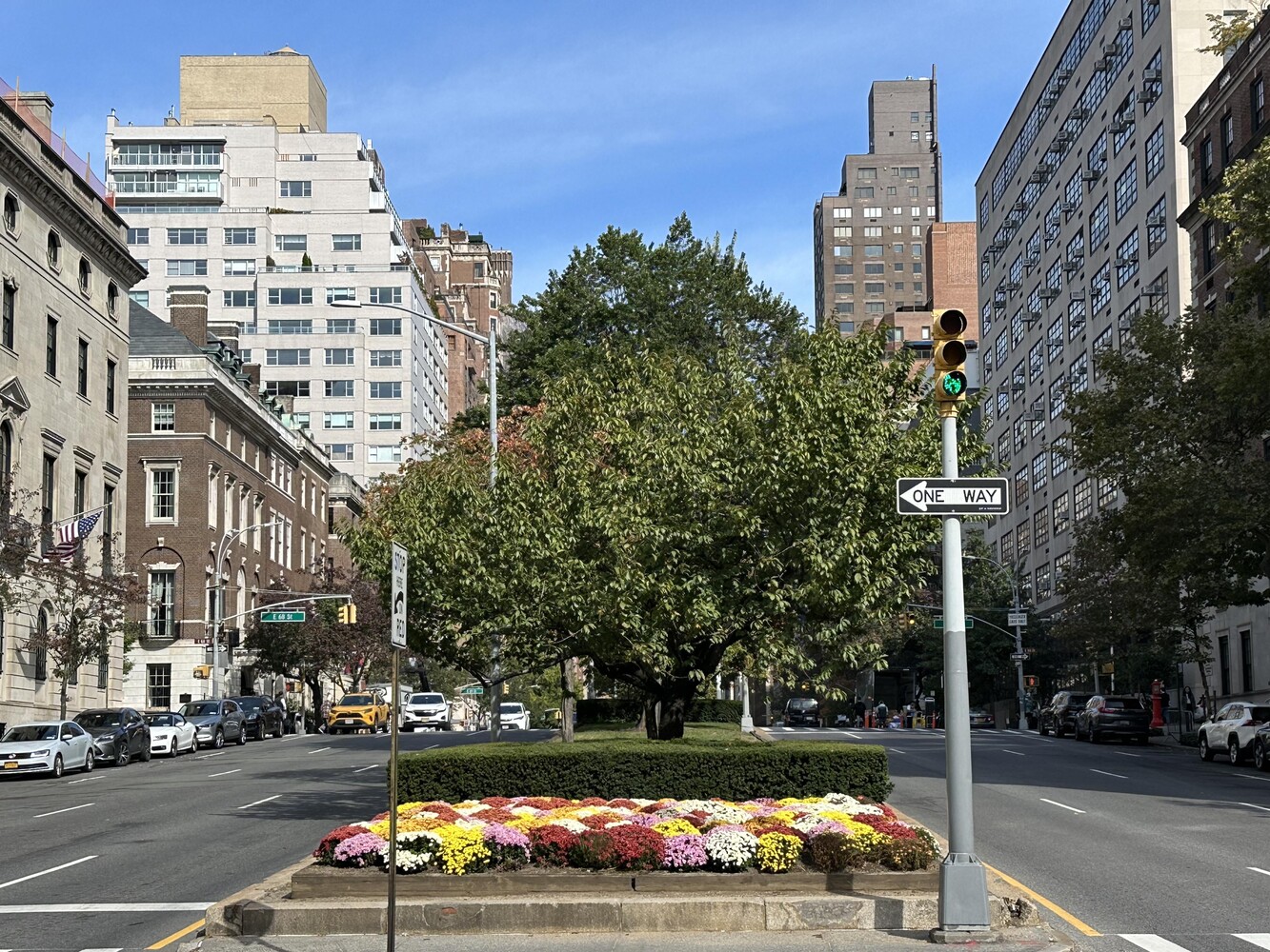 #14 photo, 650 PARK Avenue, マンハッタン Lenox Hill , NY 10065