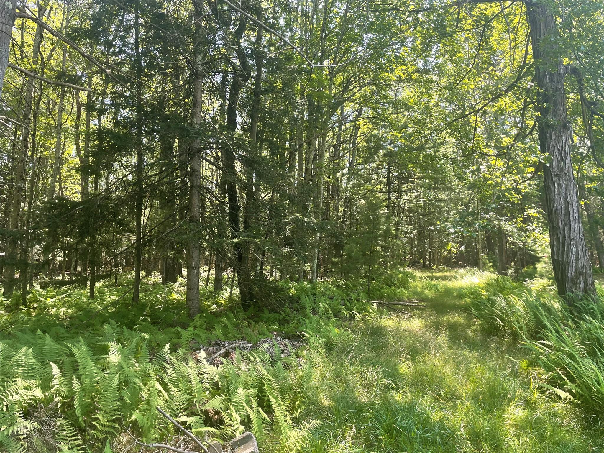 #3 photo, 126 Beaver Lake Rd. Road, Rock Hill , NY 12775