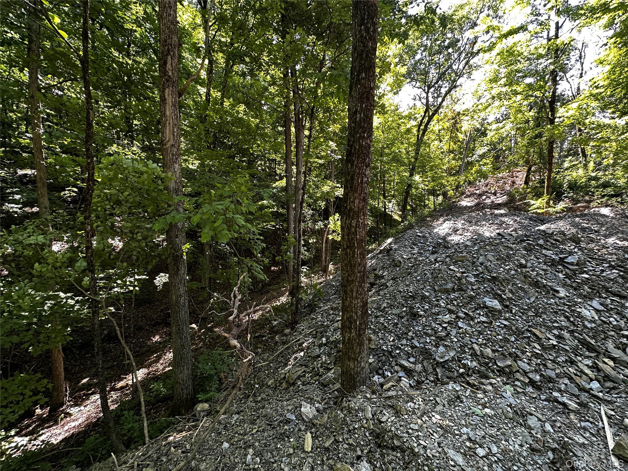 #8 photo, Creek Road, Pleasant Valley , NY 12569