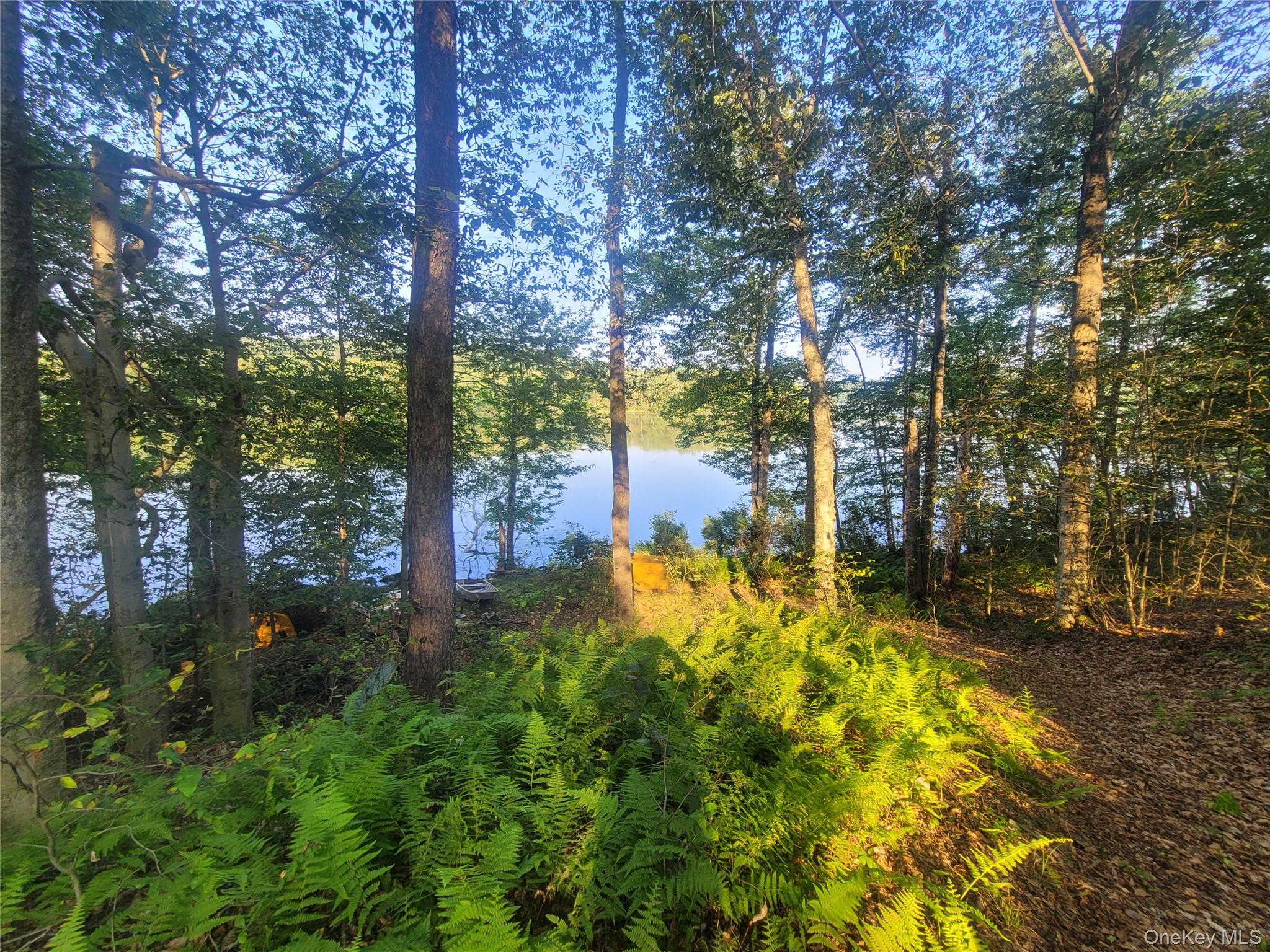 #1 photo, 575 Shore Road, Swan Lake , NY 12783