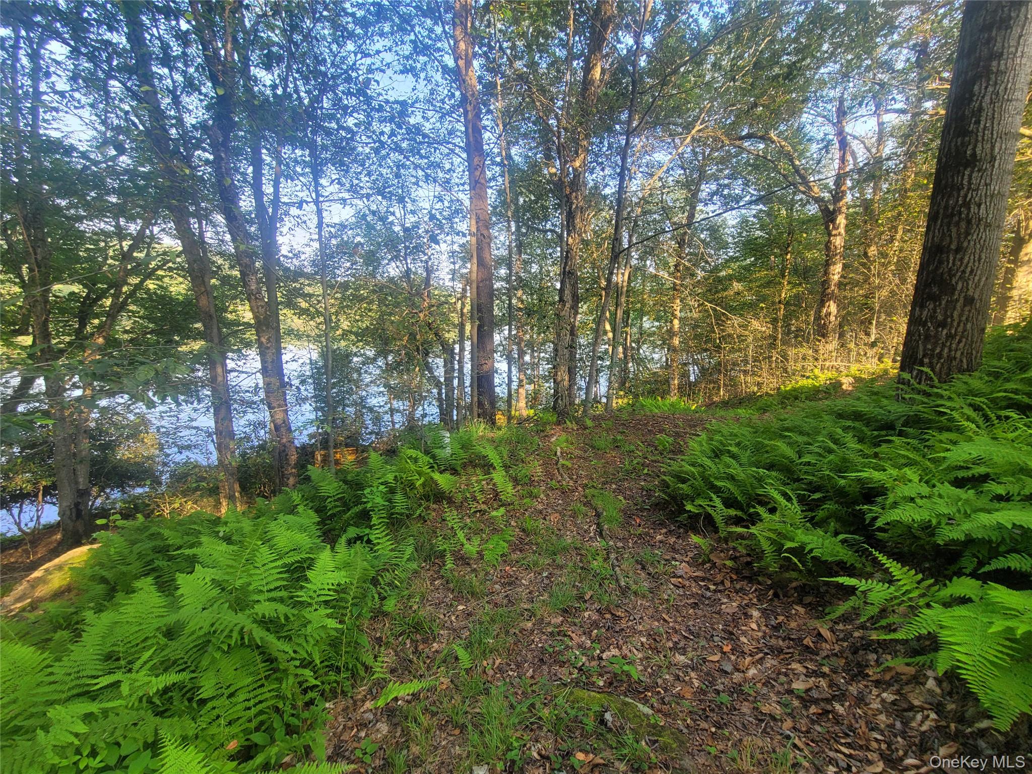 #8 photo, 575 Shore Road, Swan Lake , NY 12783